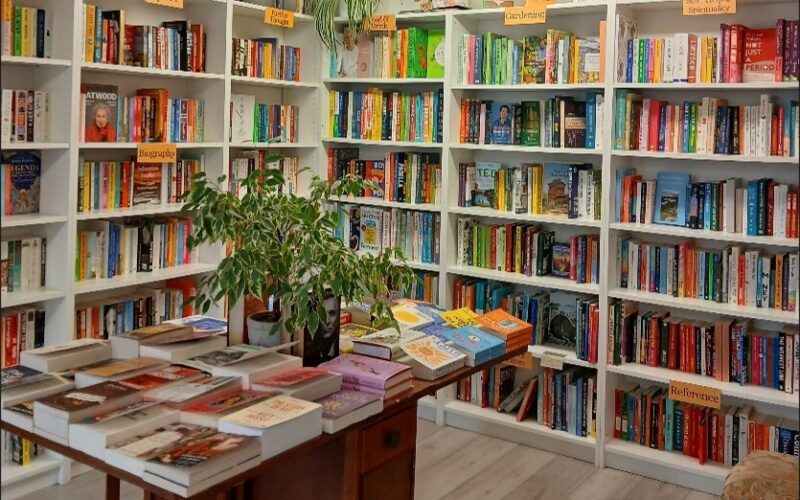 Interior photo of Maldon Books after the accessibility improvements - view of book shelves and large display table in the middle of the floor featuring book displays and plants.
