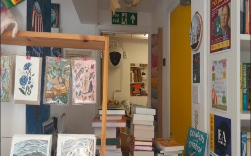 Interior photograph of Maldon Books before sensory access audit view from the till. There are piles of books hanging card displays.