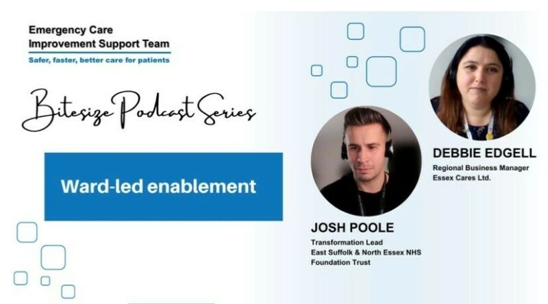 ECIST Podcast screen shot