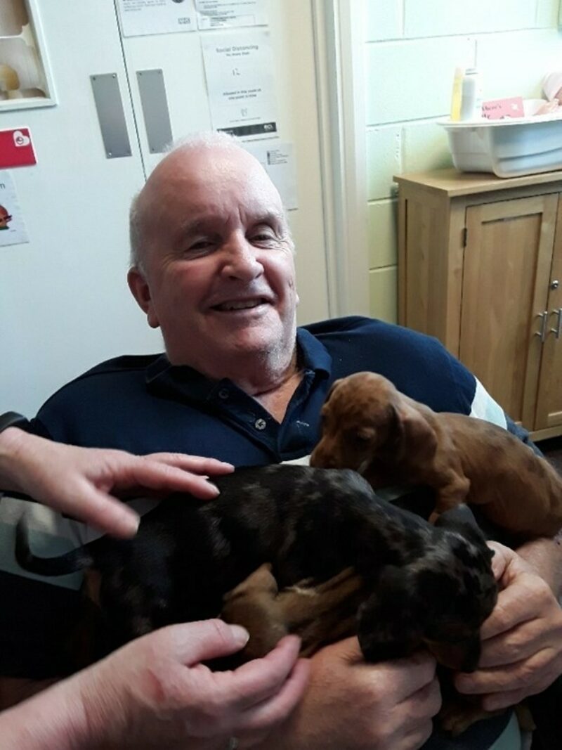 Therapy animals at ELC Colchester