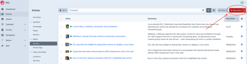 Screenshot highlighting the "Create Entry" button