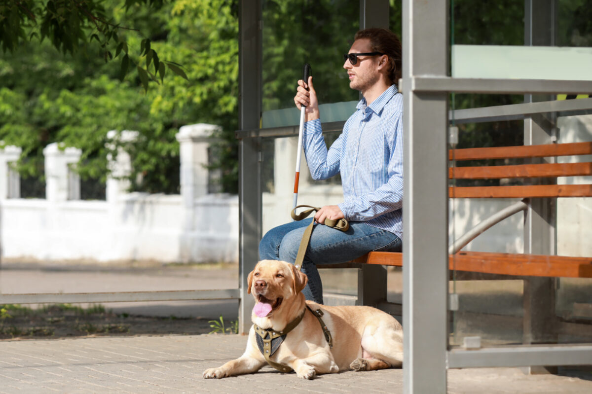 A blind man sitting on a bench with his dog.