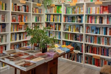 Interior photo of Maldon Books after the accessibility improvements - view of book shelves and large display table in the middle of the floor featuring book displays and plants.
