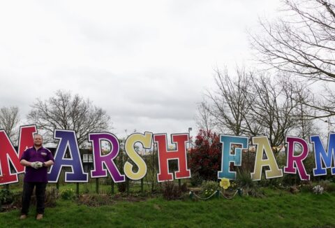 Marsh Farm