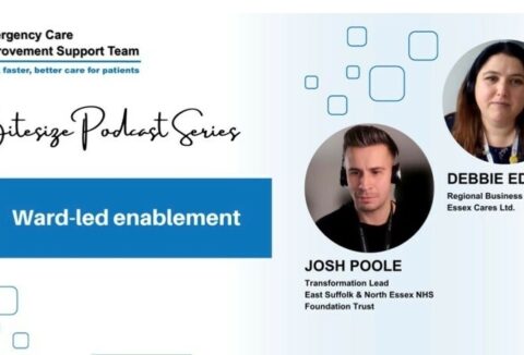 ECIST Podcast screen shot