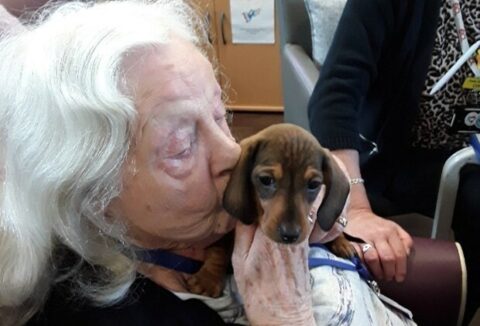 An elderly lady with a dog.