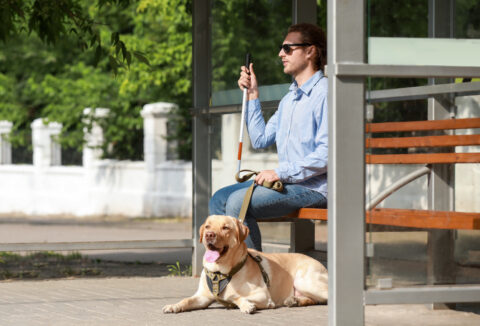 A blind man sitting on a bench with his dog.